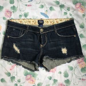 🌱 Jean Short Shorts 🌱